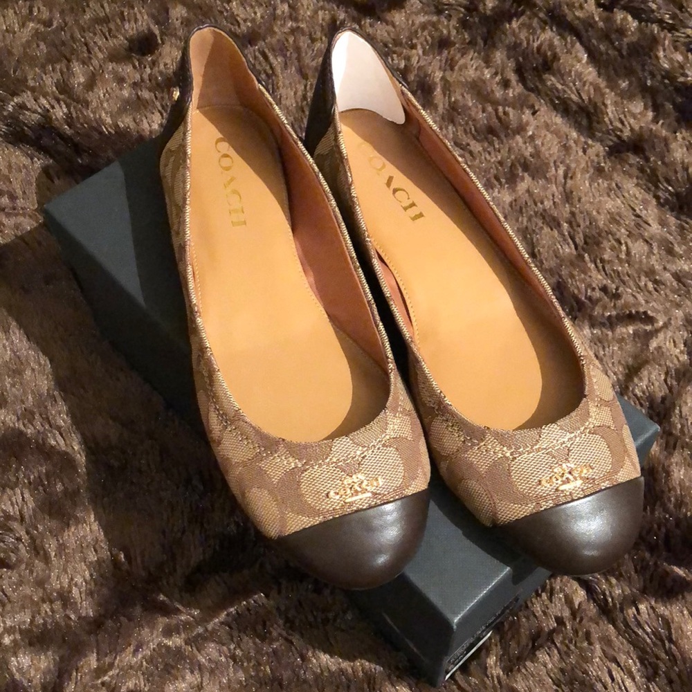 Coach Chelsea Outline Signature Flats